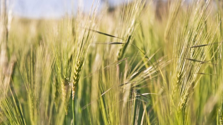 Proteste der Landwirte ernst nehmen Proteste der Landwirte ernst nehmen